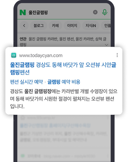 검색엔진 최적화 작업 결과